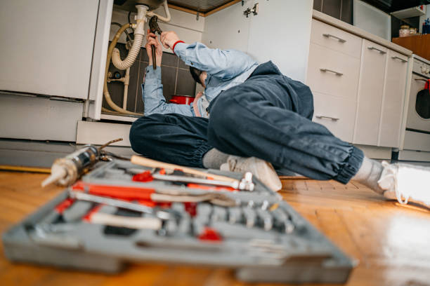 Best Affordable Plumbing Services  in Seneca, IL