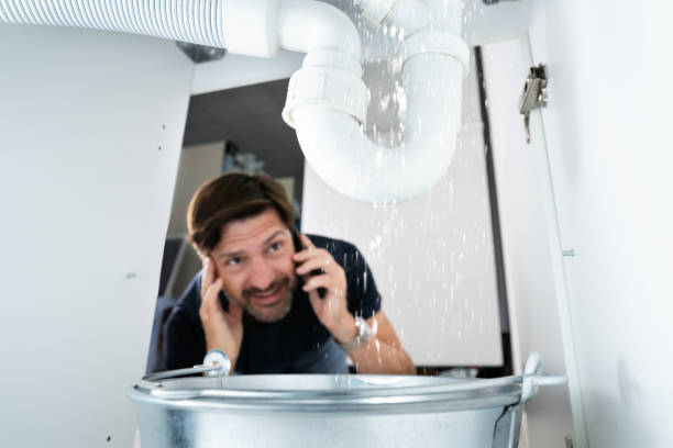 Best Local Plumber Services  in Seneca, IL