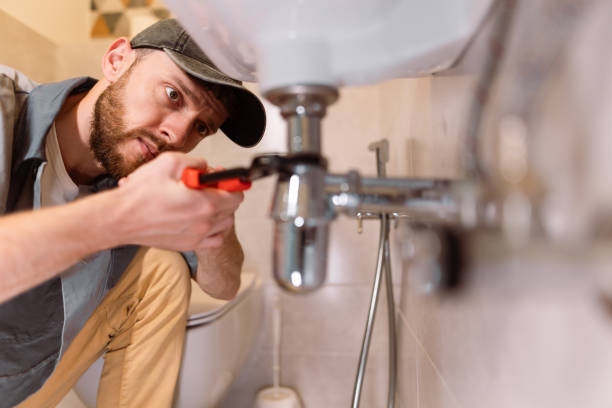 Best Residential Plumbing Services  in Seneca, IL