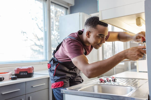 Best Plumbing Inspection Services  in Seneca, IL